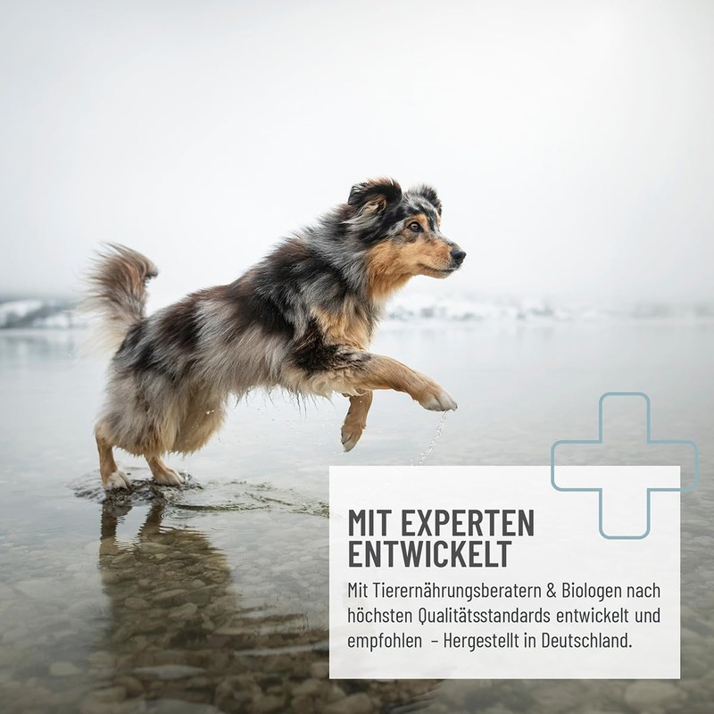 ReaVET Taurine for Dogs 100 g - Supports the Cardiovascular