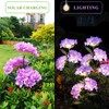 YAODEMA Garden Lights Solar Path Light, LED Solar Powered Outdoor