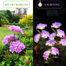 YAODEMA Garden Lights Solar Path Light, LED Solar Powered Outdoor Light Decor for Path Yard Walkway Patio Balcony Lawn, Hydrangea Artificial Flower (Purple, 2)