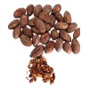 Semilla Grano De Cacao Criollo Premium Crudo 1kg Chiapas