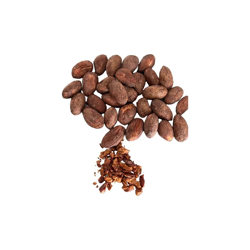 Semilla Grano De Cacao Criollo Premium Crudo 1kg Chiapas
