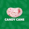Jelly Belly Candy Cane Bag 12 x 70g