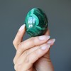 Satin Crystals Malachite Egg Green Real Stone 1.75-2.0 inch