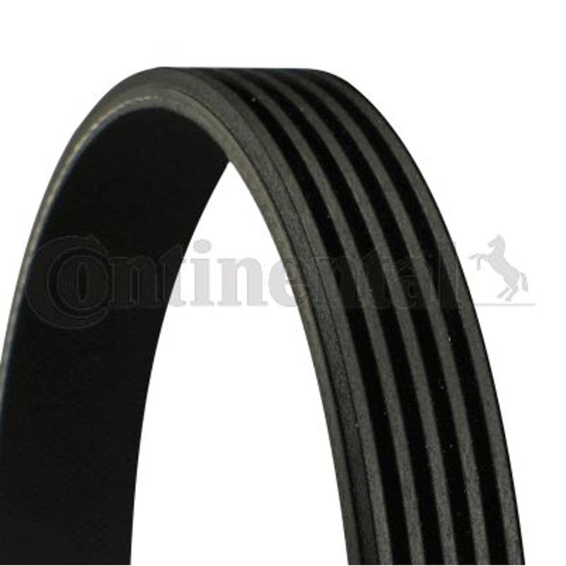 CONTITECH 5PK1255 V-Ribbed Belt