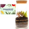 Handmade Clear Glass Terrarium Kit With Round Cork Top Open