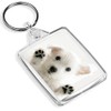 Westie Puppy Keyring West Highland Terrier Dog White Cute Fun