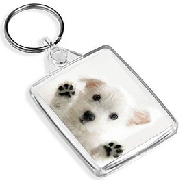 Westie Puppy Keyring West Highland Terrier Dog White Cute Fun Keyring #8954