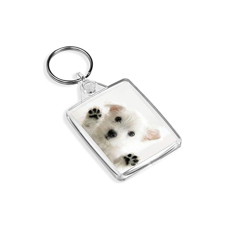 Westie Puppy Keyring West Highland Terrier Dog White Cute Fun