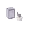 CGB Giftware | Baby Elephant Tooth Box | Tooth Organiser