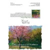 Gracefully Yours Blessed Mourning Sympathy Greeting Cards Featuring Marian Hirsch,
