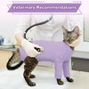 PUMYPOREITY Cat Front Leg Recovery Suit, Surgical Spay Suit with