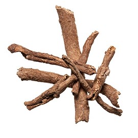 Acanthopanax Root Bark | Wu Jia Pi Chinese Herb | Acanthopanax Gracilistylus - Chinese Herb (1 Lb)