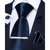 DiBanGu Mens Satin Tie with Lapel Pin Tie Clip Shiny