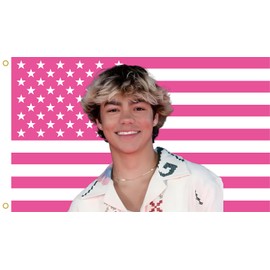 WENWELL Malachi American Flag Tapestry, Pink Daniel USA Design, 3x5 Feet, Polyester with Brass Grommets, Barton Wall Decor for Bedroom