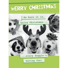Merry Christmas So Here It Is Hairy Christmas Every Doggie's Having Fun Christmas Card