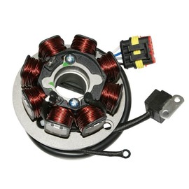 cyclingcolors Alternator Stator Ignition Motor Motorcycle Scooter Moped Compatible with Generic Trigger CPI SM Masai Razer Keeway Xray