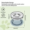 Upgrade Whisker-Fatigue-Free Cat Slow Feeder Bowl, Raised Cat Bowl Improved