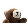 takeoff pokepuni brown bear