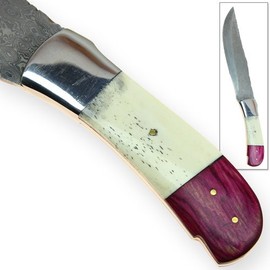 Swordsaxe Rebel Wolf Damascus Steel Forged Knife Exotic Bone Wood Handle 1095 Folded Layered