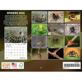Spider Calendar 2026 Spiders Monthly Wall Calender 12 Month | American Made In The USA