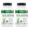 Renew Actives RENEW ACTIVES Sea Moss C Triple-Action Antioxidant Blend with BioPerine C Organic Irish Sea Moss 500MG, Bladderwrack 500MG & Burdock Root 400MG per 2 Capsules C Made in Canada - 60 Capsules (2pk)