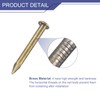 QUARKZMAN Pack of 80 Brass Nails 2 mm x 20