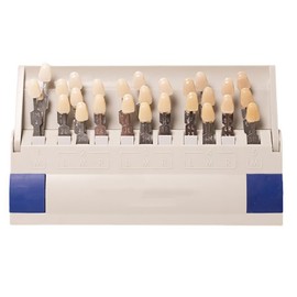 Teeth Whitening Shade Guide 29 Colors Comparison Individually Removable Tooth Bleaching Shade Chart