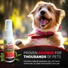 Pet Dental Spray, As Seen on TV, Eliminates Plaque &