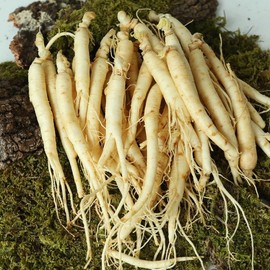 EcoPaldo 금산 황금농장 삼계탕/갈비탕용 세척 인삼(잔뿌리) 700g Geumsan Golden Farm Washed Ginseng (Fine Roots) for Samgyetang/Galbitang 700g