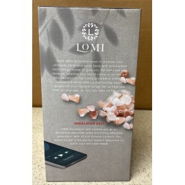 Lomi Himalayan Salt Lamp Wireless Bluetooth Speaker - Multicolor Lights