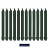 Colonial Candle Unscented Taper Candle, Classic Collection, Evergreen, 10 In,