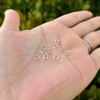 50pcs Adabele Real 1/20 14K Gold Filled Wire Guard Thread