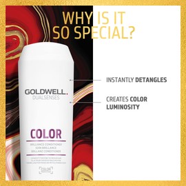 Goldwell Dualsenses Color Brilliance Shampoo and Conditioner Set