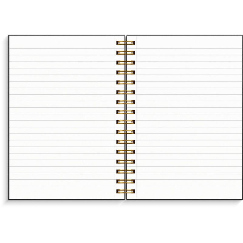 Burde Notizbuch A5 schwarz/gold: Spiral-Notizbuch
