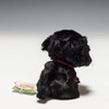 Candy Fontaine Pug Black