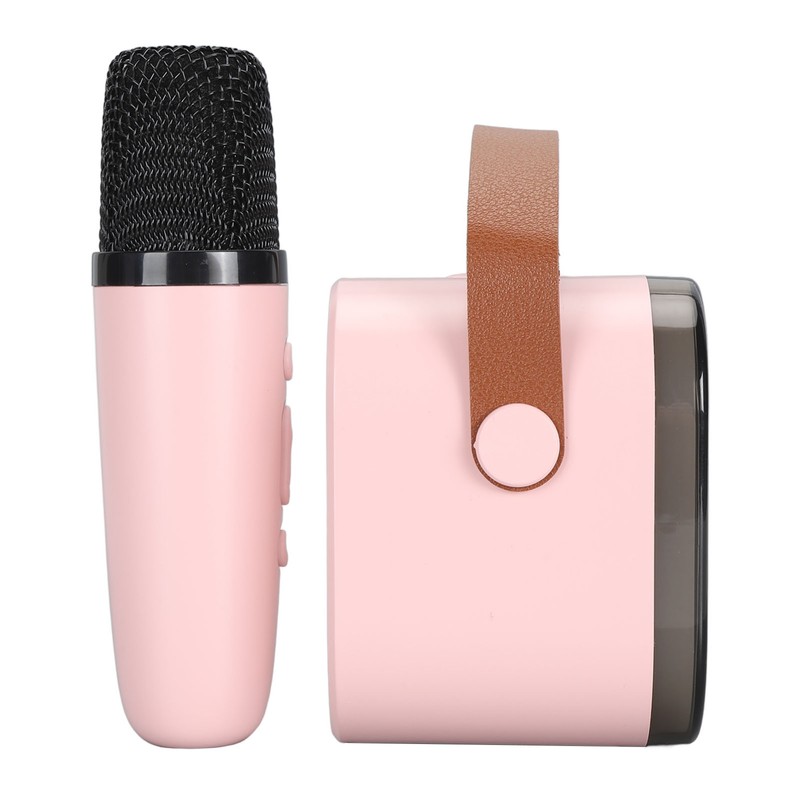 Portable Karaoke Machine LED Dynamic Light Small Bluetooth Speaker with