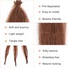 Mscat 16 Inch 3 Packs Pre Separated Springy Afro Twist