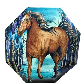 Anuschka Umbrella – Duomatic Open/Close – 97 cm – Free Spirit, Free Spirit