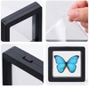 Clear Floating Display Cases for Jewelry, Coins, Gemstones & Collectibles