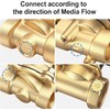 Baomain Electric Solenoid Valve Port 1-1/2" 110 VAC Thread Direct