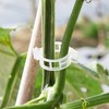 CIQIYO Plant Support Clips,Plastic Clips for Securing Plants,Tomato Vine Clips,Plant