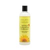 Jane Carter Solution Nutrient Replenishing Conditioner 12 Oz