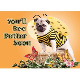 Glory To Dog You’ll Bee Better Soon – Funny Get Well Card with Pug in Bee Costume – Cheeky Dog Pun Greeting Card for Friends, Family, or Coworkers