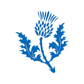 TENNER.LONDON Set of 5 Scottish Thistle Iron on Screen print Fabric Applique machine washable transfer Scotland Flower