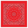 B53 100% Cotton Paisley Bandanas Made in the USA -