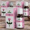 Destech Aroma Oil Moisturizing Oil Turkish Rose Oil Face Rose Oil 3 20ml / 데스텍 아로마오일 모이스처라이징오일 터키장미오일 페이스 로즈오일 3개 20ml