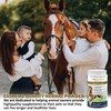 V-POINT - Laminitis Ease - hoof Supplements for Horses -
