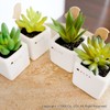 OKA PLYS Pris Green with Small Bird Stick Fuser, Fake