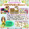 Hawaiian Beads Clay Beads Making Accessories Making Toys Beads Kit
