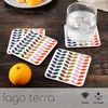 LAGO TERRA Set of 4 Leaf Print Drinks Coasters in